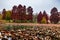 Autumn landscape, with the lake covered by dry water lilies and trees in pleasant colors, in the State Circus Park in Bucharest