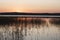 Autumn landscape of lake horizon on sunset and reeds growing in water