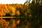 Autumn landscape on the lake in a park with yellowed trees