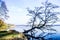 Autumn landscape by lake Starnberg - Bavaria