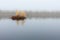 Autumn landscape on the lake with tiny island with trees and yellow leaves