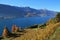 Autumn landscape at lake Walensee, Switzerland. Vineyard in Wale