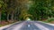 Autumn Landscape. Lonely rural road with deciduous alleys.