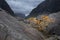 Autumn landscape, lonely yellow tree in the foggy harsh mountains