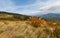 Autumn landscape in the mountains with the golden bush