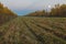 Autumn landscape with mown field