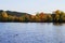 Autumn landscape. Nature background. The trees on the banks of the river in the fall. Autumn forest on the river Bank