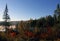 Autumn landscape near a lake