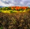 Autumn landscape in New Brunswick, Canada