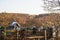 Autumn landscape of the old church and cemetery, colorful forest on the background