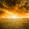 Autumn landscape with orange grass and sky during sunset