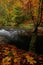 Autumn landscape with orange and yellow leafs above dark creek in czech national park