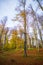 Autumn  landscape in the Orastie Mountains, Near Sarmisegetusa Regia, Romania