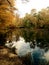 Autumn Landscape from the Outskirts of Colombia Maryland