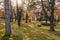 Autumn landscape in the park area.