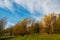 Autumn landscape, park, countryside, trees on hill with yellow foliage, bright blue sky, light clouds