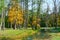 autumn landscape: park and ornamental lake