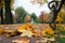 Autumn landscape, Park paths covered with fallen leaves.