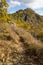 Autumn landscape with path, colorful trees and rocky hill