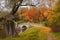 Autumn landscape in Pavlovsk park, Saint Petersburg