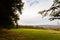 Autumn landscape photo with sheeps