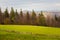 Autumn landscape photo with sheeps