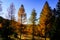 Autumn landscape, Piatra Mare Mountains, Romania