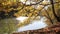 Autumn landscape with a pond and willow branches