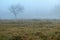 Autumn landscape, quiet foggy morning by the river