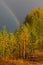 Autumn landscape. Rainbow over forest in sky