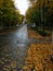 Autumn landscape in the rainy colorful park