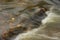 Autumn landscape with a rapid stream and fallen leaves