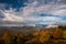 Autumn landscape in the rays of the rising sun.