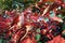 Autumn landscape: red ivy with blue berries in sunlight.