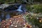 Autumn landscape - rocks covered with moss, fallen leaves. Mountain river with a waterfall