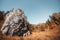 Autumn landscape with a rocky cliff