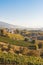 Autumn landscape of rolling hills and vineyards on the Naramata Bench in the Okanagan Valley