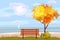 Autumn landscape on the sea, ocean, tree, wooden bench, sailboat panorama, autumnal mood, yellow, red, orange leaves