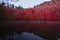 Autumn landscape in seven lakes Yedigoller Park Bolu, Turkey
