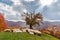 Autumn landscape, sheep, shepard dog