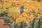 an autumn landscape at Shinhodaka Ropeway, japan 31 Oct 2013