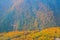 an autumn landscape at Shinhodaka Ropeway, japan 31 Oct 2013