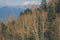 an autumn landscape at Shinhodaka Ropeway, japan 31 Oct 2013