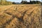 Autumn landscape, sloping field