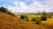 Autumn landscape with sloping hill, trees by river in distance