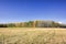 Autumn landscape sloping meadow on a background of forest and mountains