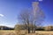 Autumn landscape sloping meadow on a background of forest and mountains