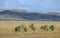 Autumn landscape, steppe with mountains. prairie, veld, veldt. a