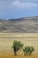 Autumn landscape, steppe with mountains. prairie, veld, veldt. a