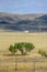 Autumn landscape, steppe with mountains. prairie, veld, veldt. a